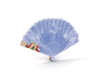 Floral Lace Fan model pack Low-poly 3D model