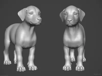 Dog Puppy - Highpoly Sculpture 3D model