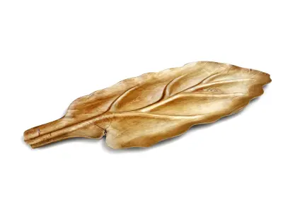 Large Wood Carved Leaf Platter 3D model
