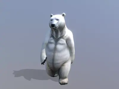 Polar bear Low-poly 3D model buy