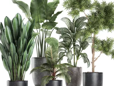 Collection of decorative plants in flowerpots 756 3D model