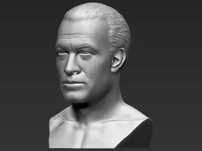 Steven Seagal bust 3D printing ready stl obj formats 3D print model