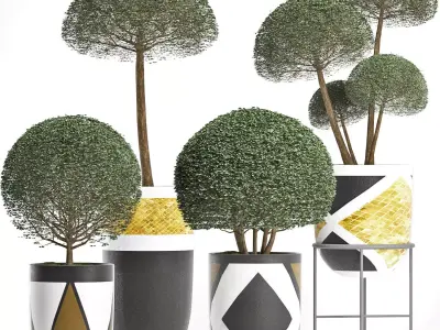 Plants Collection 195 Ligustrum 3D model