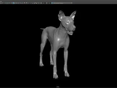 Dog 3D model 3D model