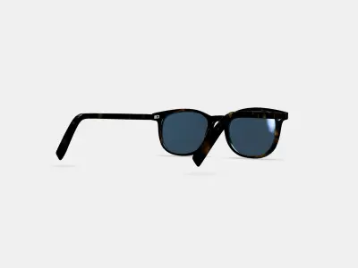 Durand Sunglasses in Whiskey Tortoise 3D model