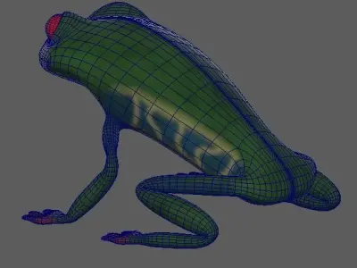 Red Eyed Tree Frog Low-poly 3D model