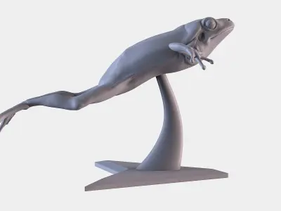 Frog 3D Printing 3D print model