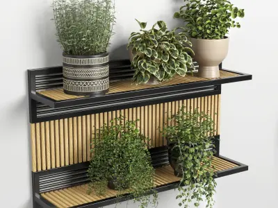 collection Indoor plant vase handmade pottery plant shelf 02 3D model