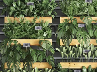 wooden flower boxes  vertical garden 39 3D model