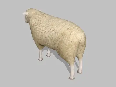 sheep Low-poly 3D model