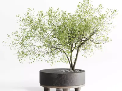 Tree branch in a concrete vase bouquet 27 Low-poly 3D model