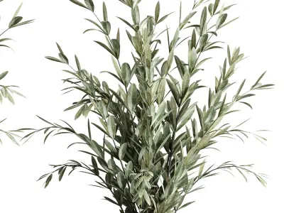 Olives in vases galss 3D model