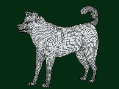 Ainu Dog Breed 3D model