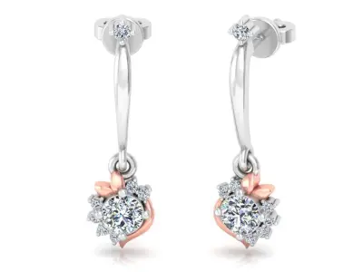 Women earrings 3D print model