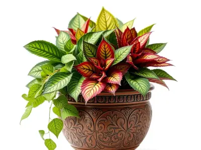 Ornamental Clay Planter model pack Low-poly 3D model