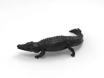crocodile 3D model
