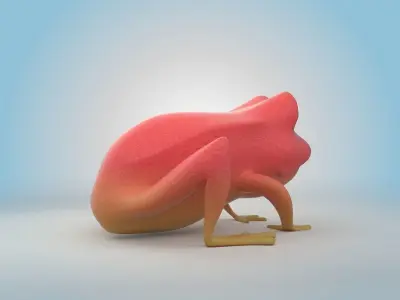 Tomato Frog 3D model
