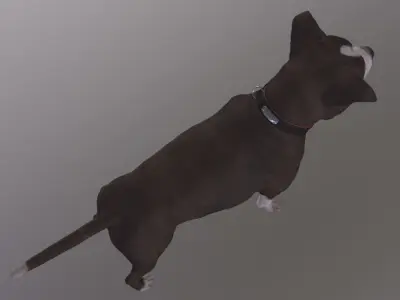 Dog Rigged Low-poly 3D model