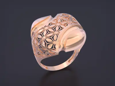 Fusion ring 3D print model