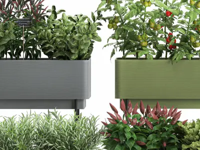 Vegetable garden in the kitchen 1059 3D model