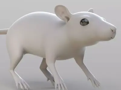 Realistic Rat rodent 3D model