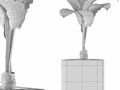 Plants Collection 83 3D model