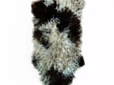 Bedside Sheepskin Rug 05 3D model