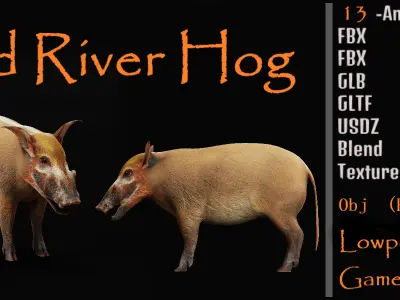 Red River Hog Low-poly 3D model