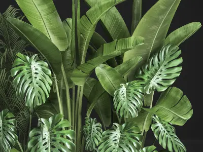 Houseplants in a flowerpot for the interior 937 3D model