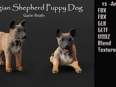 Belgian Shepherd Puppy Dog Low-poly 3D model