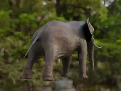 African Elephant 3D model