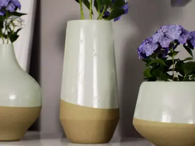 Vase Collection three vases with flowers on shelf Low-poly 3D model