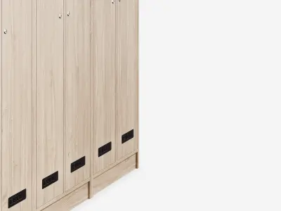Laminated wood locker 3D model