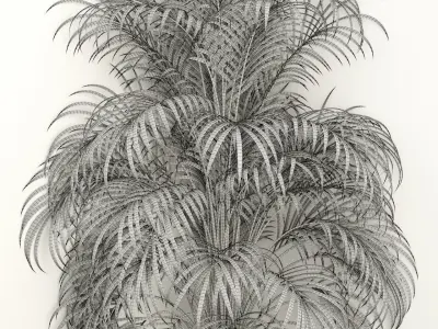 Plants collection 108 3D model