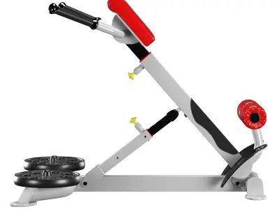 CF-3663 HYPEREXTENSION 3D model