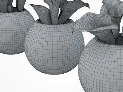 Callas small 3D model