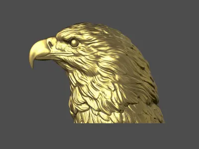 Eagle head 3D print model get