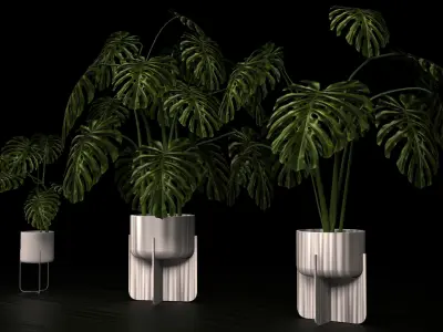 MONSTERA IN POT Low-poly 3D model