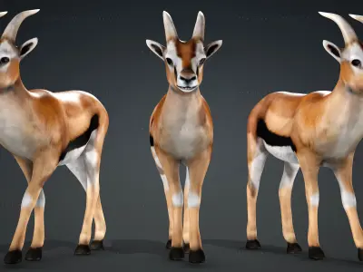 Deer with Animation 10 Low-poly 3D model