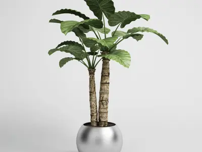 CGAXIS plants collection volume 1 3D model