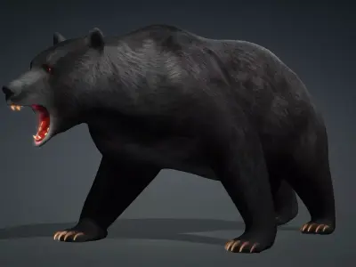 Black Bear 3D model