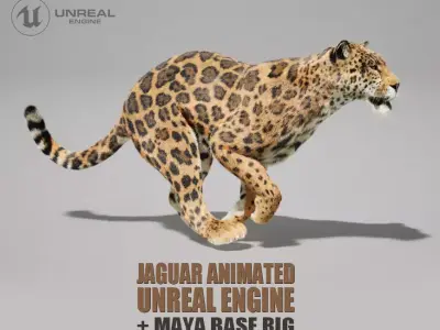 Jaguar Animated UNREAL project  Maya base rig 3D model