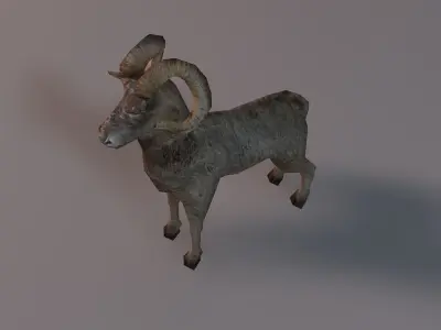 Low poly ram Low-poly 3D model