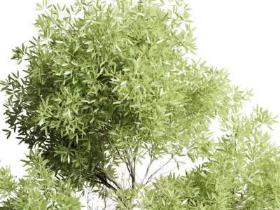 outdoor indoor 85 pot plant tree  bush fern the garden pot 3D model