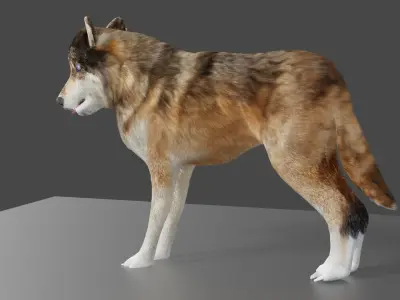 wolf 3d Low-poly 3D model