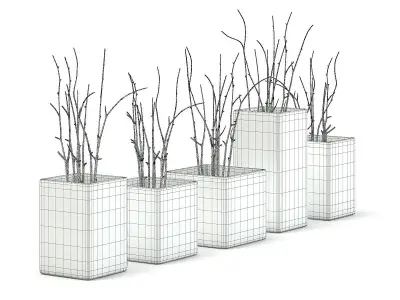 Decorative Flasks 3D model