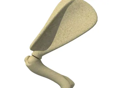 Animal Scapula Upper Bone 3D model