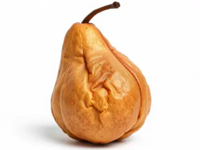 Dried Pear Realistic Model Pack Low-poly 3D model