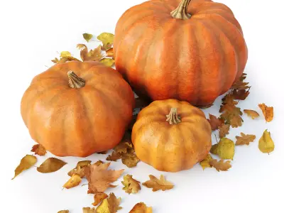 Set of pumpkins with leaves 3D model