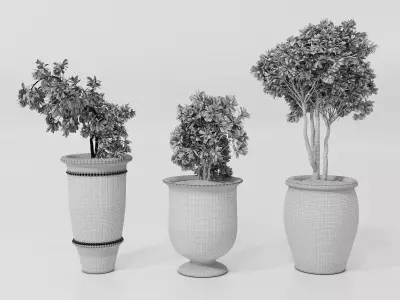 Potted Plants Collection 1  3D Models 3D model